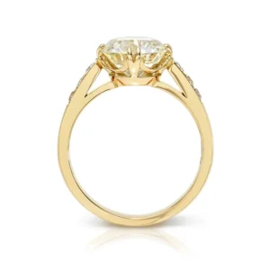 BAUER>SINGLE STONE Online