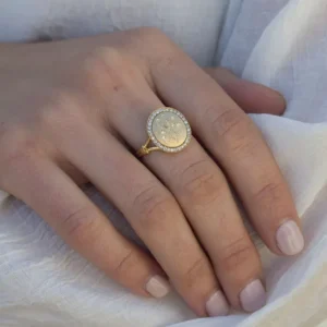 PAXTON>SINGLE STONE Hot