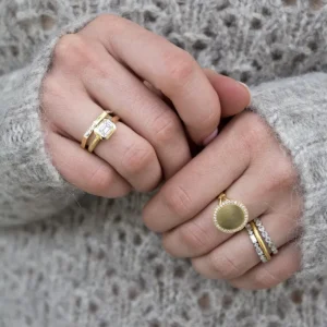 PAXTON>SINGLE STONE Hot