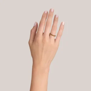 PHOENIX>SINGLE STONE Best