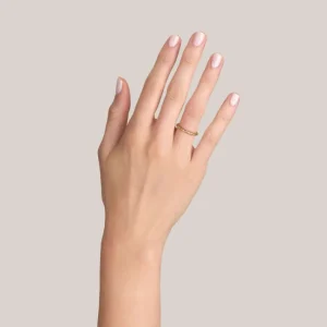 YORK>SINGLE STONE Online